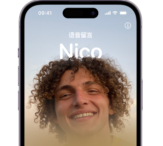 惠州苹果15服务站分享iPhone15实时语音留言开启方法 