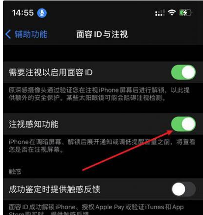 惠州苹果14维修网点分享iPhone14注视感知功能有什么用 