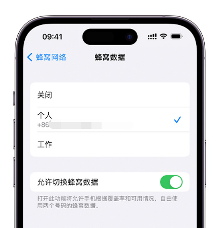 惠州苹果维修服务分享如何在iPhone上使用双卡 